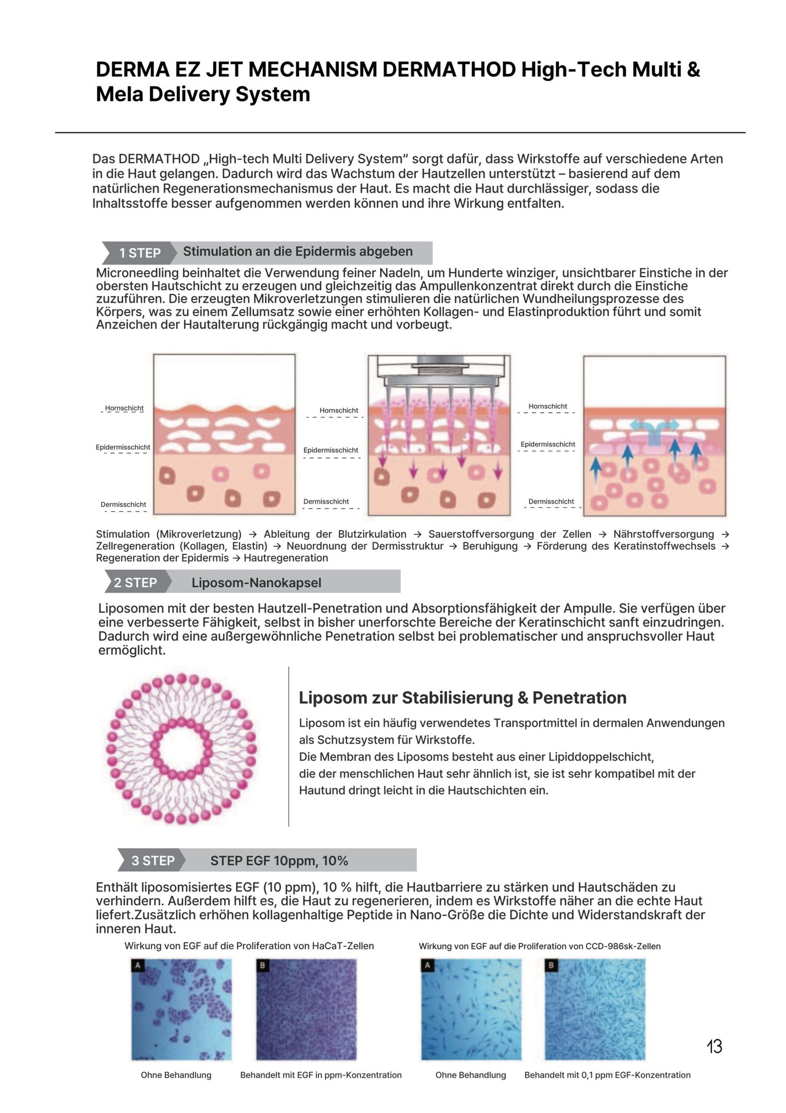 DERMATHOD EZ Jet Mechanismus mit Microneedling und liposomaler Wirkstoffaufnahme für Hautregeneration
