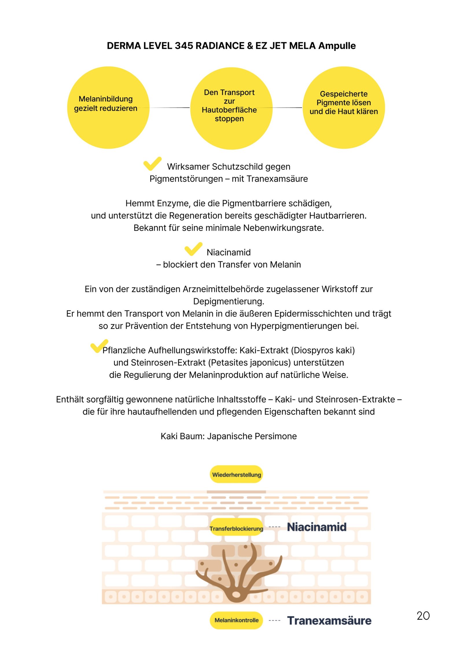 Niacinamid und Tranexamsäure reduzieren Melaninproduktion und verbessern das Hautbild
