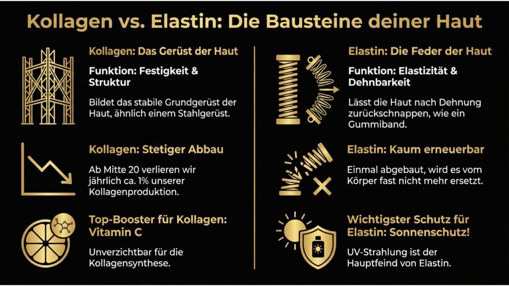 Kollagen vs. Elastin_ Die Bausteine der Jugend und wie man sie unterstützt. – 2025 Vergleich